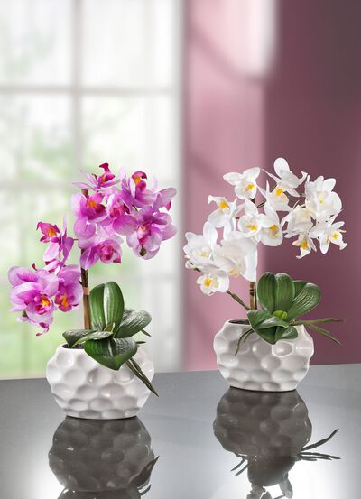 Orchideeënarrangement in keramieken vaas 