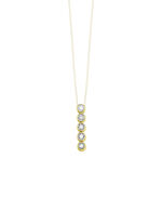 Edele hanger met diamanten 