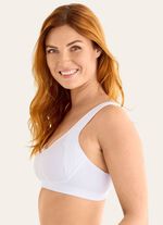 Swegmark of Sweden beha 