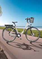 Stads e-bike RC667 van TELEFUNKEN 