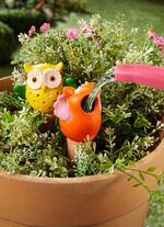 Wateruilen, set van 4 