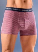 Set van drie broeken met elastische tailleband 