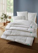 ventilatorbeddingserie met actieve temperatuurregeling 