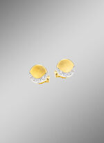 Chique oorbellen met zirkonia 