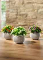 Mini bloemen, set van 3 