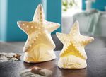 LED keramische zeester 