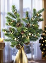 Dennentakken, set van 2 