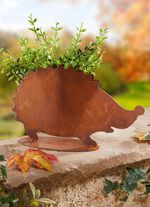 Plant haag in roestlook 