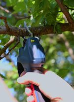 Accu-snoeischaar (accu en oplader niet inbegrepen) 