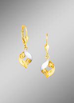 Beweeglijke oorbellen tweekleurig 