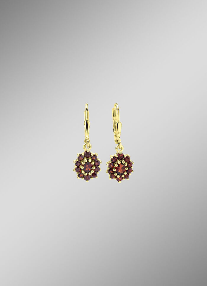 Oorbellen goud 375/- 