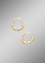 Charmante oorringen van 585/- fijn goud 