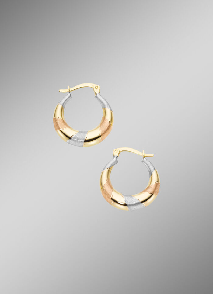 Charmante oorringen van 585/- fijn goud 