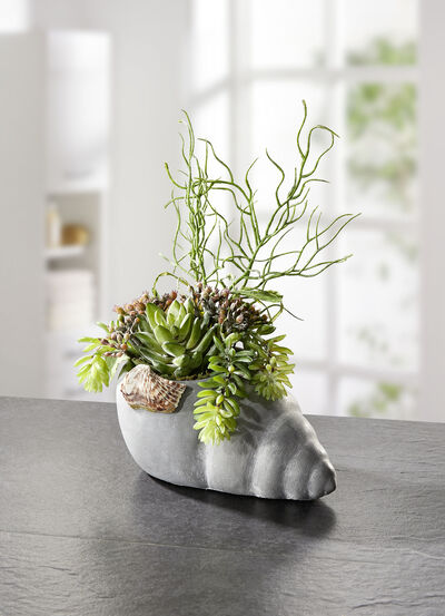 Opstelling in mosselpot 