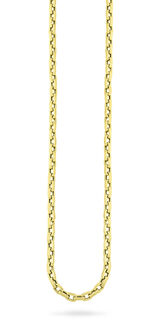 Vierkante gouden ankerketting 