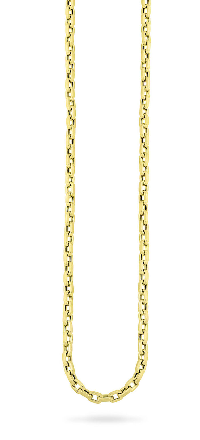 Vierkante gouden ankerketting 