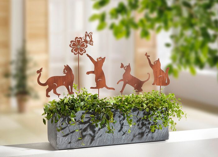 Kattentuinpalen, set van 5 