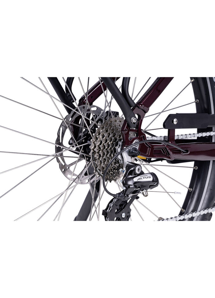 E-Bike Deluxe SUV Gemakkelijk BURGUND-GLANZ