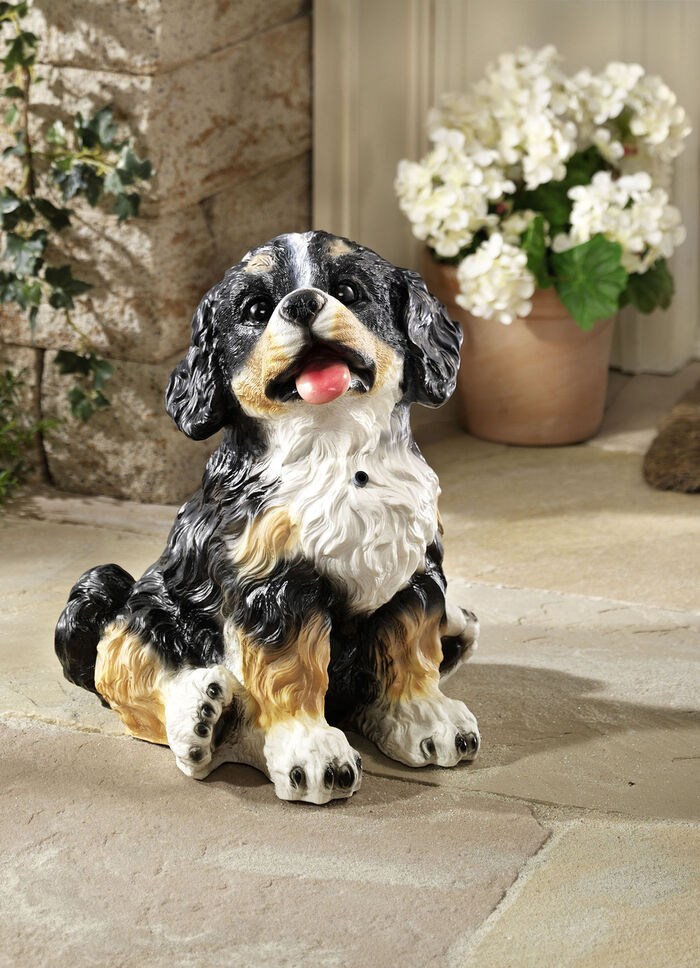Bewegingsmelder Berner Sennenhond 