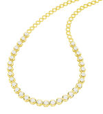 Exclusieve Diamond Collie 