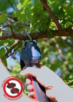 Accu-snoeischaar (accu en oplader niet inbegrepen) 