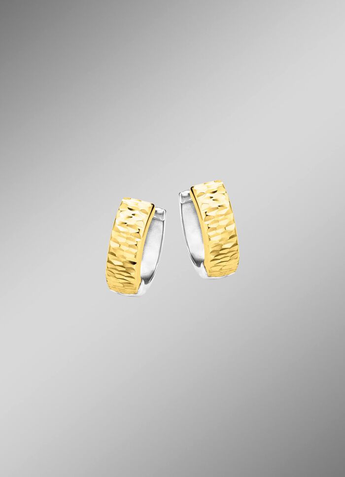 Tweekleurige creolen 