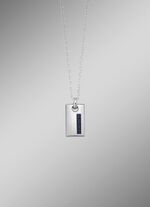 RVS hanger met koolstofvezel 