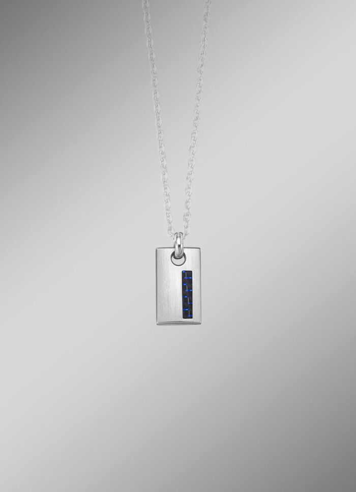 RVS hanger met koolstofvezel 