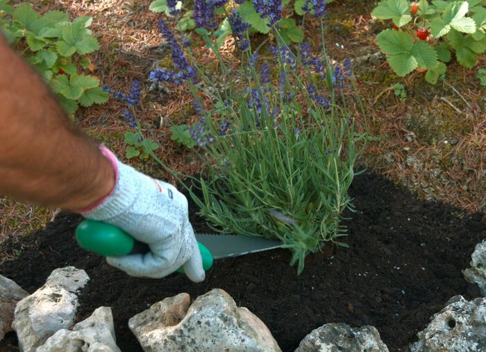 Multifunctionele schopwortelgraafmachine 