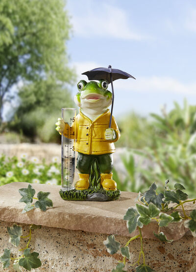 Kikker met regenmeter 