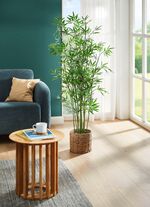 Bamboe in waterhyacintmand 