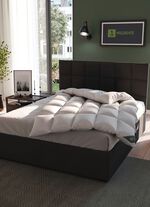 Hoogwaardig beddengoedassortiment wilde eendendons van Spessarttraum - de beste kwaliteit voor een goede nachtrust 