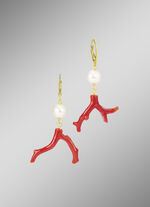 Oorbellen koraaltakken 