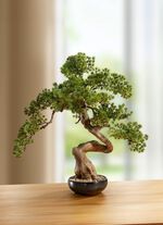 Bonsai in een keramische kom 