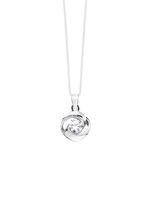 Prachtige hanger met zirkonia 