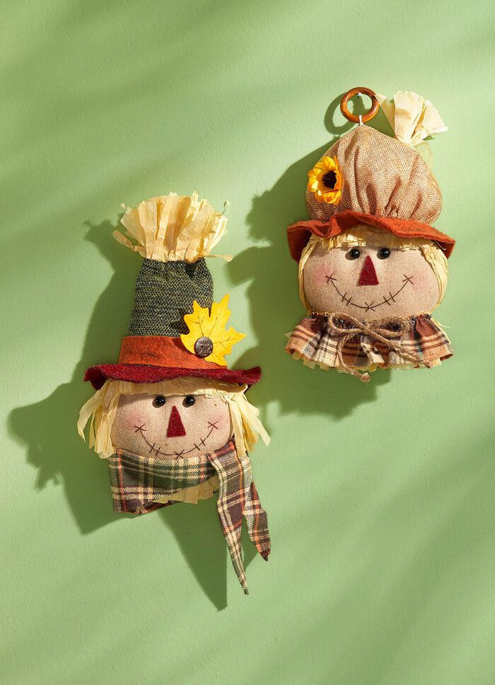 Grappige vogelverschrikkerhoofden 