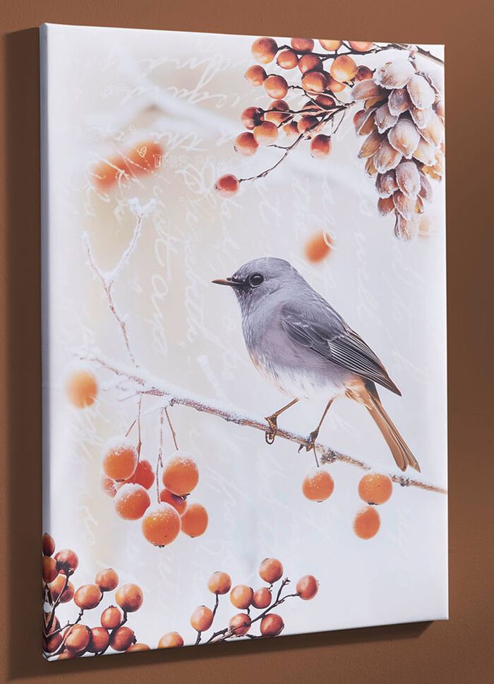 Foto Vogel van het Jaar 2025 Zwarte Roodstaart op canvas 