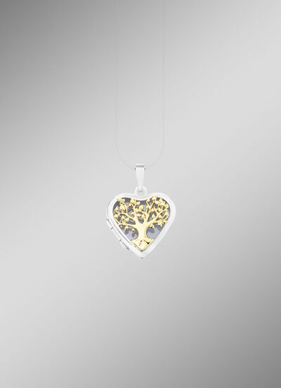 Hartvormig medaillon in tweekleurig om te openen 