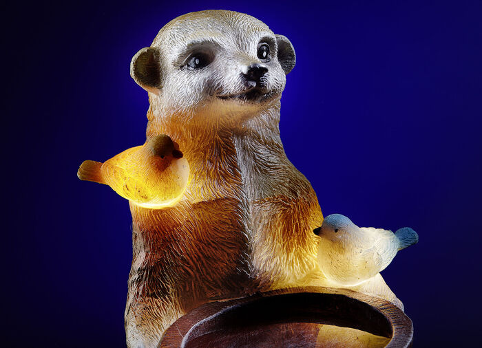 Vogelbad op zonne-energie