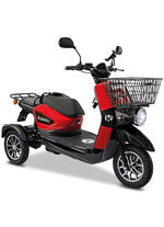 Rolektro - De e-scooter - Duurzame mobiliteit onderweg 