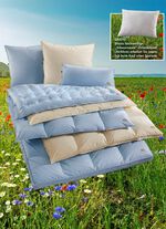 Eersteklas donsdeken &ldquo;speciale serie blauw &amp; cr&egrave;me&rdquo; uit het Zwarte Woud 