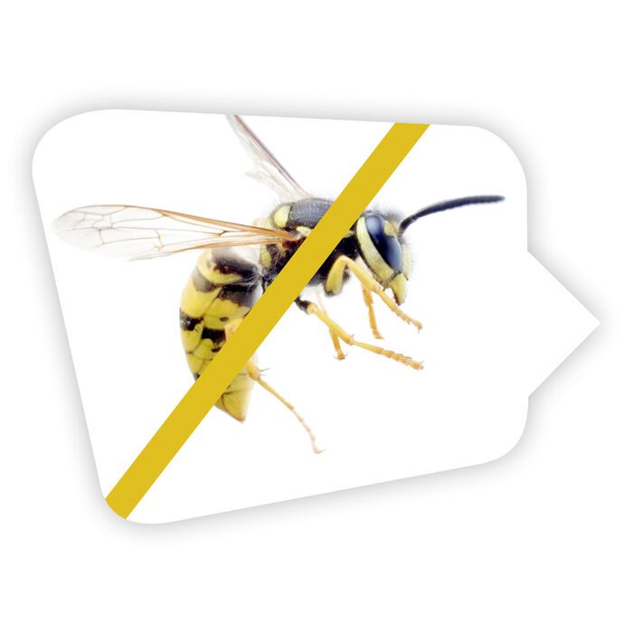 VapoWesp rookbox om wespen op afstand te houden 