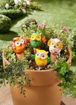 Wateruilen, set van 4 