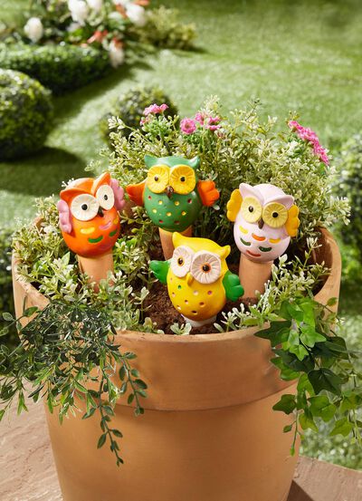 Wateruilen, set van 4 