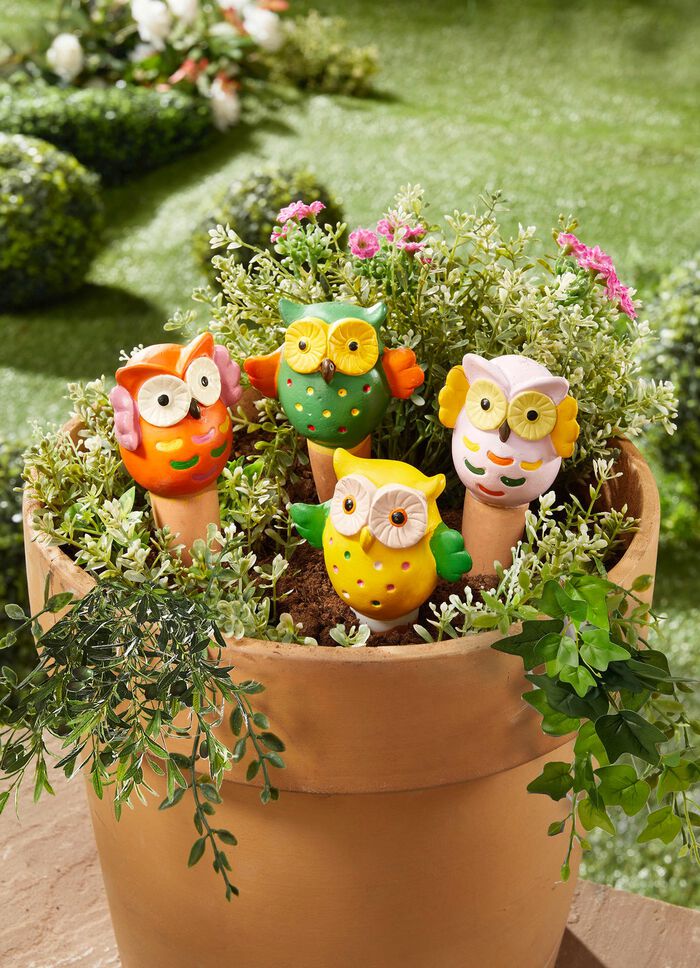 Wateruilen, set van 4 