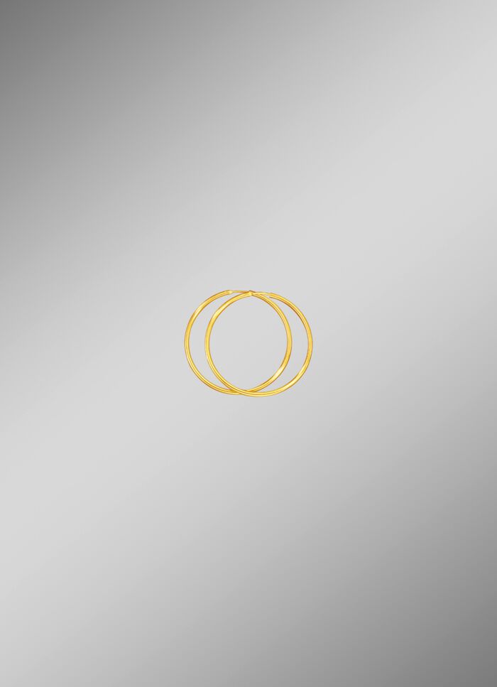 Klassieke oorringen in een prachtig design 