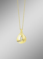 Vergulde hanger met zirkonia 