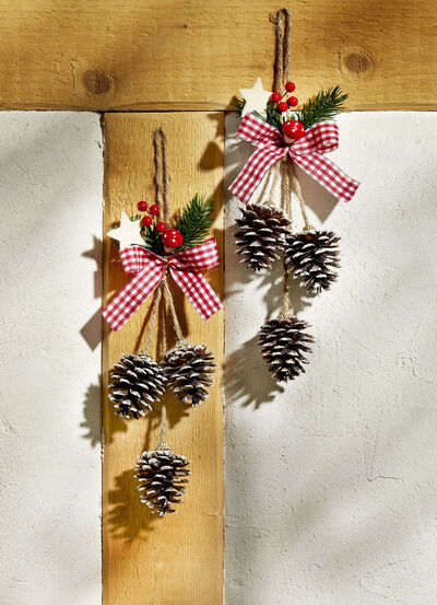 Decoratieve hangers met natuurlijke kegels, set van 2 
