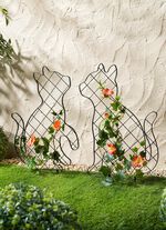 Klimhulpen "Katten", set van 2 