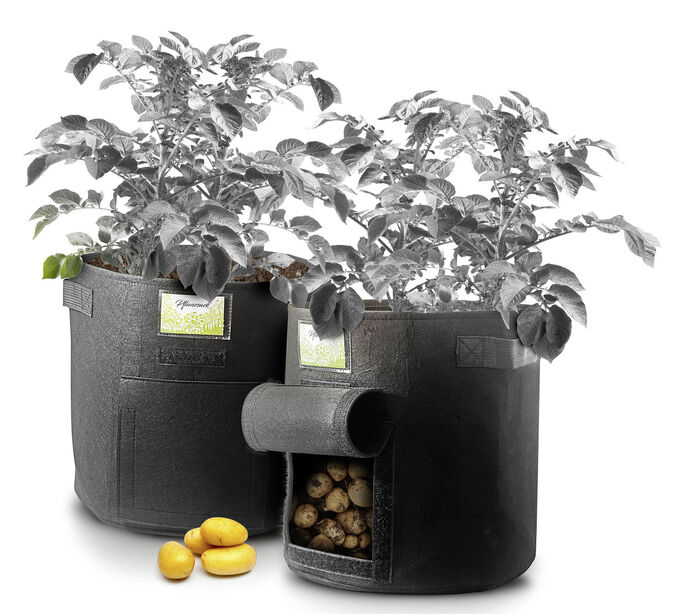 Plantenzakken, set van 3, ideaal voor balkon of terras 